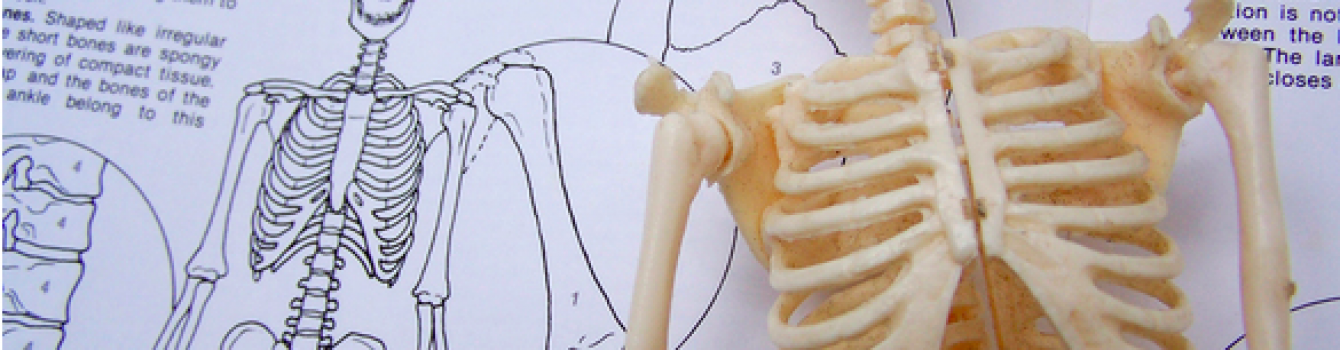 31.10 & 01.11.2015 | Yoga-Anatomie mit Lilla Wuttich