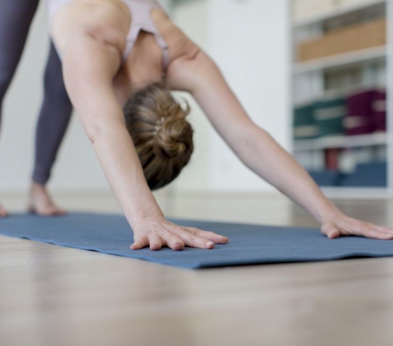 Start 14. August|Yoga Intro| 6-Wochen-Kurs in Pempelfort mit Katharina Start 14. August|Yoga Intro| 6-Wochen-Kurs in Pempelfort mit Katharina